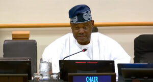 Bonny Islanders Celebrate as Nigeria's UN Representative Leads Global Budget Committee